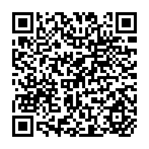 QR Code for Wages, Relative Prices and the Export of Capital