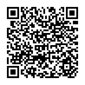 QR Code for The Principles of Development Aid