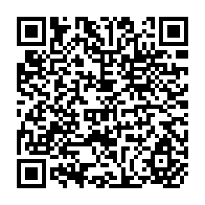 QR Code for Change and Uncertainty in a Peasant Economy: The Maya Corn Farmers of Zinacantan