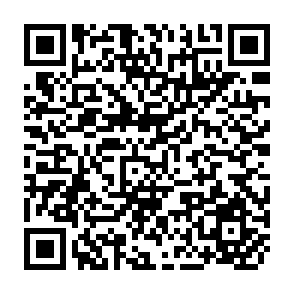QR Code for FAO/SIDA Expert Consultation on Policies and Institutions for Integrated Rural Development - Vol. I