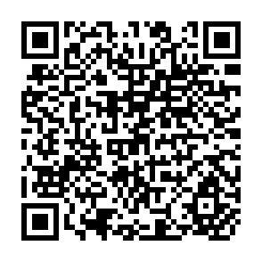 QR Code for Hired Labor in Rural Asia