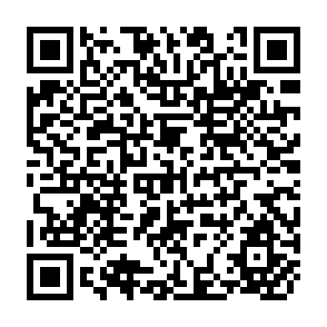QR Code for Report of the Expert Group Meeting on Migration and Human Settlements
