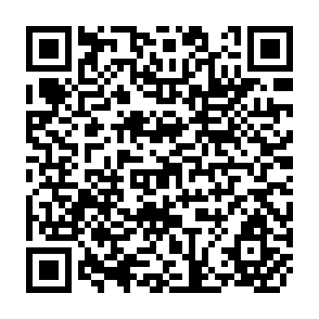 QR Code for Dynamic analysis of direct and indirect implications of technological change in agriculture-The case of Punjab, India-
