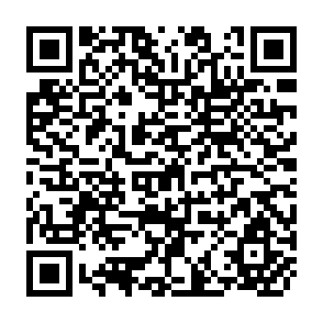 QR Code for Analysis of Projects for Economic Growth : An Operational System for Their Formulation, Evaluation, And Implementation