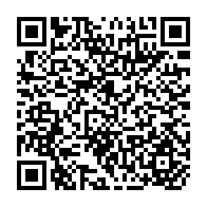 QR Code for Report on the FAO/SIDA/DSE Inter-Regional Symposium on Integrataed Rural Development