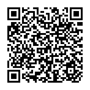 QR Code for Consumption Pattern and Preferences for Rice