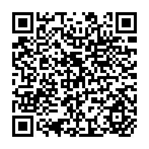 QR Code for Fao Production Yearbook Vol.32