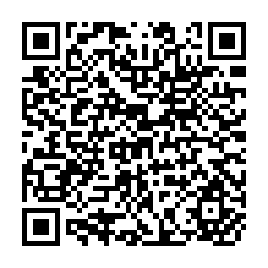 QR Code for Report of the expert Group Meeting on Population and Development Planning