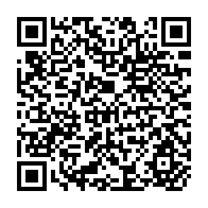QR Code for The Finance and Analysis of Capital Projects