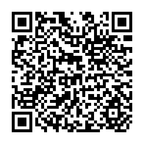 QR Code for Water Management and Agricultural Development: A Case Study of the Cuyo Region of Argentina