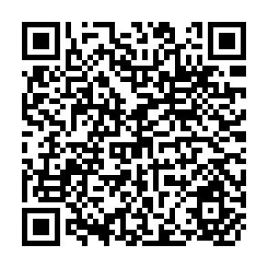 QR Code for The Choice of Technology in Developing Countries (some cautionary tales)