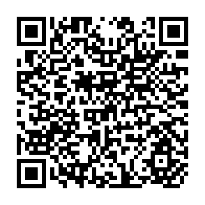 QR Code for Economic Theory and the Developing Countries