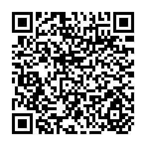 QR Code for The Southeast Asian World