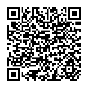 QR Code for The Political Economy of Underdevelopment