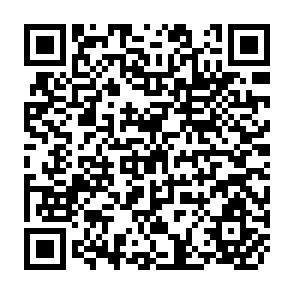 QR Code for The Economics of Development in Small Countries with Special Reference to the Caribbian