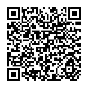 QR Code for Selected Reading Series One Group Development