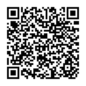 QR Code for The Rural World Education and Development