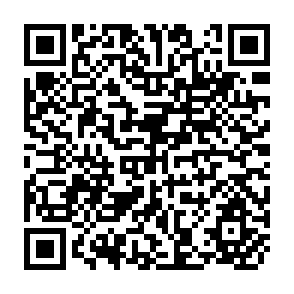 QR Code for Studies in Sociology and Social Anthropology