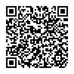 QR Code for Diagnosis of India's Development Problens and Approaches to An Alternation Path