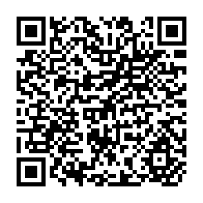 QR Code for Fiscal measures for employment promotion in developing countries