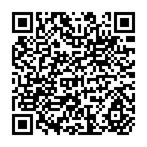 QR Code for Smallholder Tea Productionin Kenya