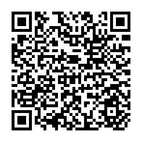 QR Code for Cohort Analysis