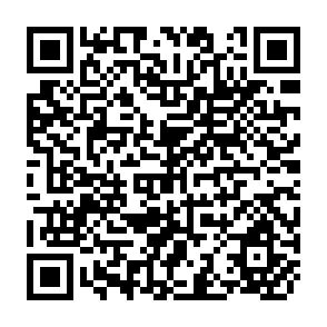 QR Code for Employment , Incomes and Equality