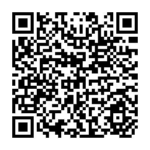 QR Code for Employment Effects of Legal Minimum Wage in Philippine Manufacturing Industries