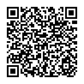 QR Code for Labour Absorption in Indian Agriculture some Exploratory Investigations