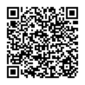 QR Code for Evaluation of Benefits of Irrigation - Tribeni Canal Report