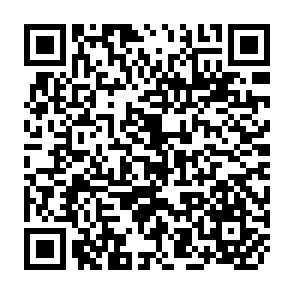 QR Code for The Use of Socio-Economic indicators in Development planning