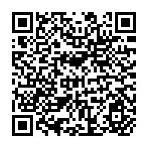 QR Code for Reading in Social Evolution and Development