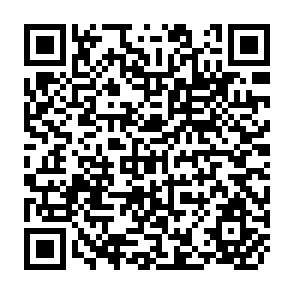 QR Code for The Basic Needs Concept and its Implementation in Indian Development Planning