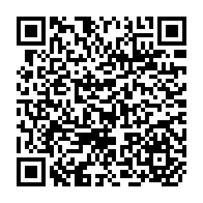 QR Code for World list of social science periodicals