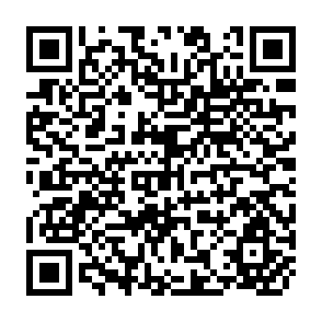 QR Code for Group Theory For Social Workers