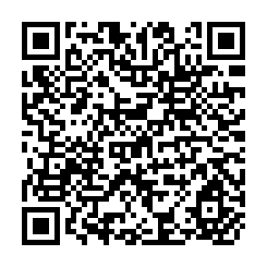 QR Code for National Ideology and Bureaucracy in Malaysia