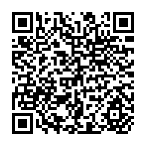 QR Code for Technological Change in Agriculture and Employment in Developing Countries