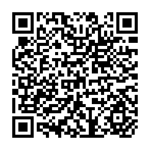 QR Code for Systems Analysis in Agricultural Management