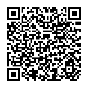 QR Code for Food Price Policy and Income Distribution in Low Income Countries