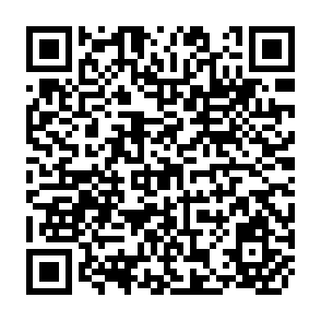 QR Code for The Regional Economy of Bougainville: Growth and Structural Change