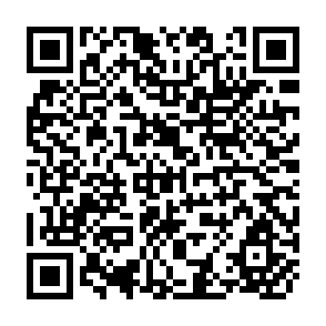 QR Code for Taim Bilong Mani The Evolution of Agriculture in a Soloman Island Society