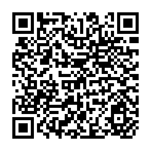 QR Code for Reflections on Education in The Third World