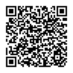 QR Code for Panchayak Raj, Rural Development and the Political Economy of Village India