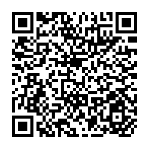 QR Code for Perennial Crop Supply Response: The Case of Tanzanian Sisal