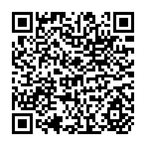 QR Code for Economic Consequences of the New Rice Technology