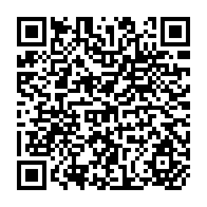 QR Code for Stratigraphic Correlation Between Sedimentary Basins of the escap region