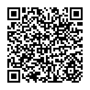 QR Code for The Informal Trade Sector in the Greater Manila Area