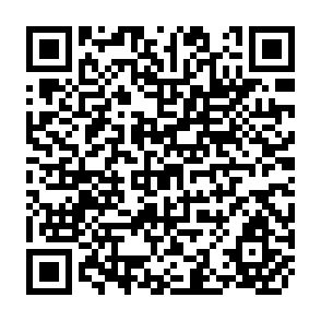 QR Code for Rising Protectionism in Developed Countries and its Implications for Developing Countries