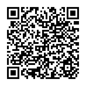 QR Code for Seanza Lectures