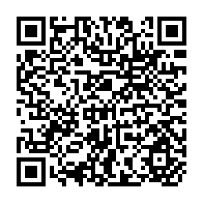 QR Code for The co-operative movement in Libya